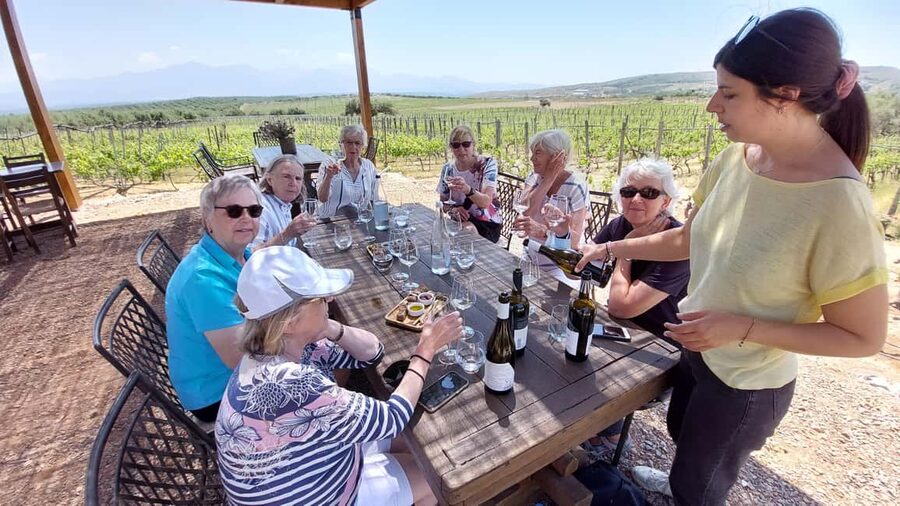 Heraklion: Cretan Wine Tasting Tour & Gourmet Lunch - Why this Heraklion wine day feels different from a casual tasting