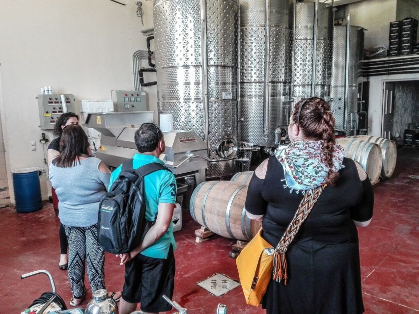 Heraklion: Cretan Wine Tasting Tour & Gourmet Lunch - Price and value: why $194 can feel fair on a wine and food day