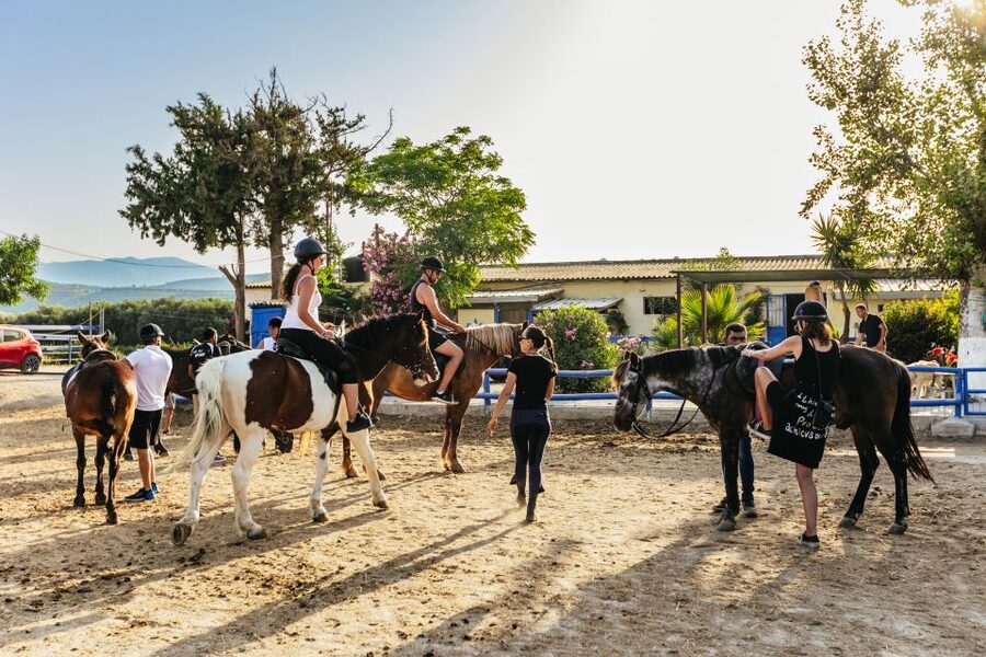 Heraklion: Finikia Horse Riding Tour with Lunch or Dinner - Small planning tips that make the day smoother