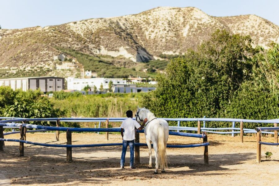 Heraklion: Finikia Horse Riding Tour with Lunch or Dinner - Your two-hour ride through the Finikia mountains, plus the Zeus connection