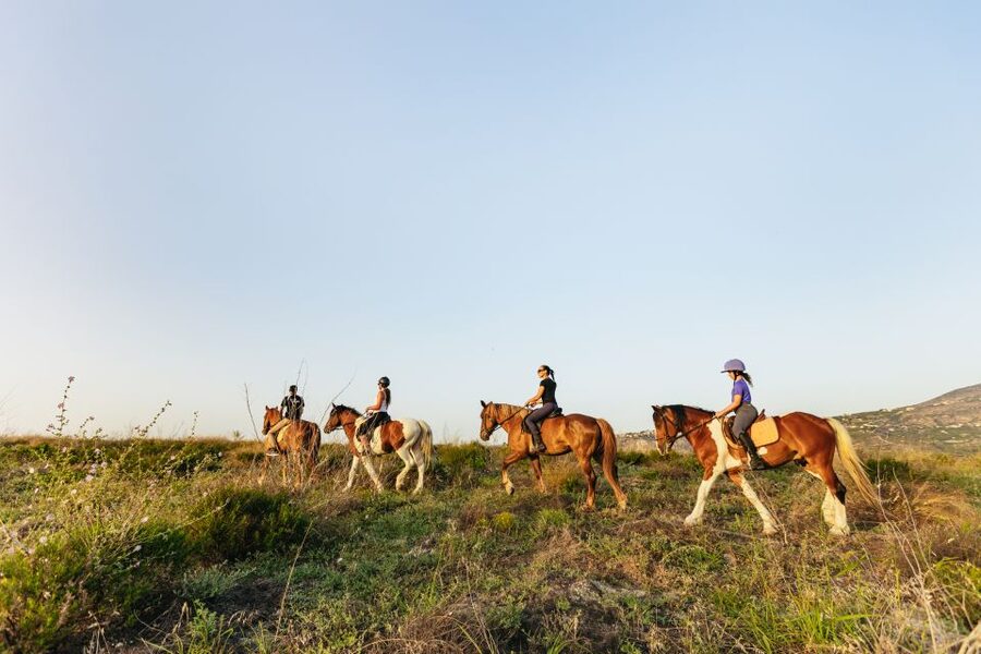 Heraklion: Finikia Horse Riding Tour with Lunch or Dinner - Price and value, is $94 a good deal in real terms?