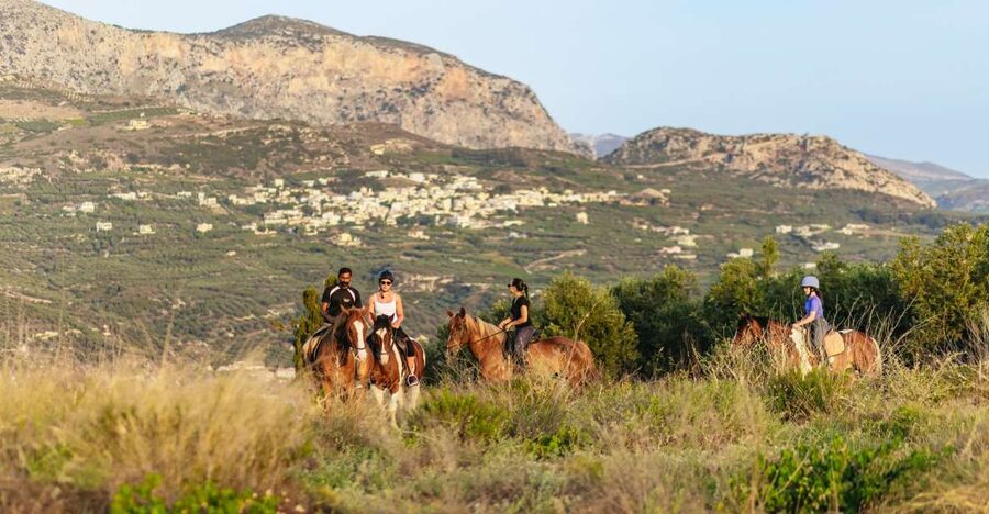 Heraklion: Finikia Horse Riding Tour with Lunch or Dinner - How the 4.5-hour timing works, morning vs. moonlight sessions