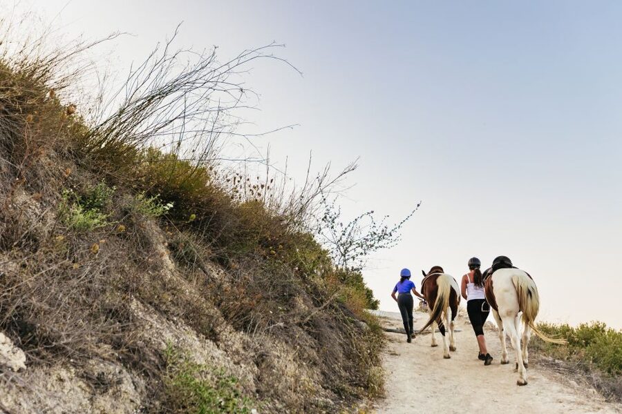 Heraklion: Horse Ride in the Cretan Mountains - Weather, Time Slots, and How to Plan Your Day