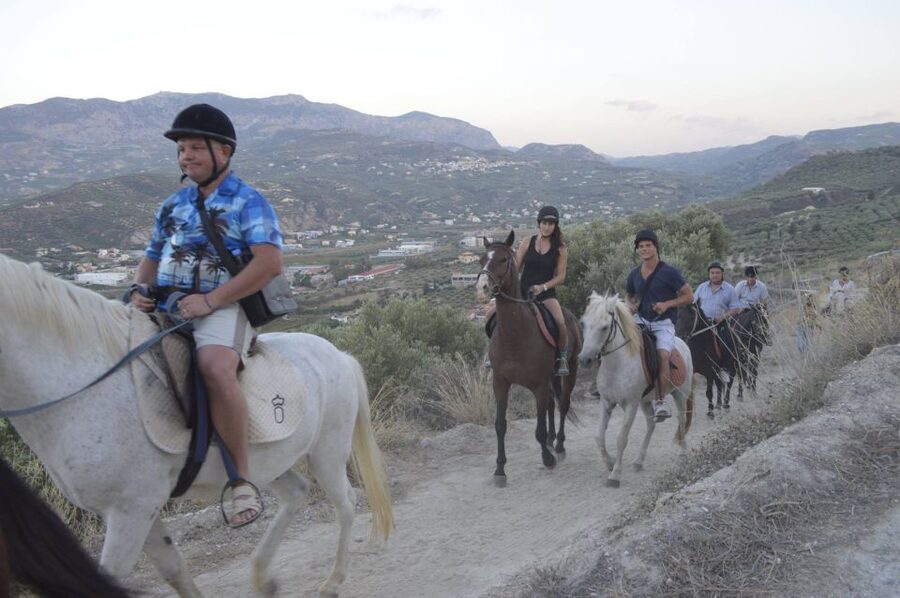 Heraklion: Horseriding Day Tour with Lunch and Transfer - Who this horse riding day trip is best for