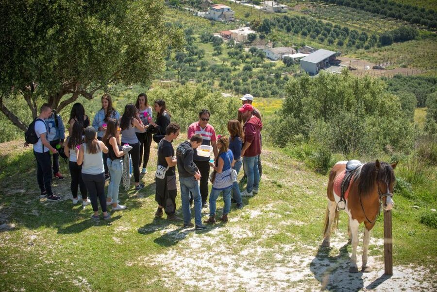 Heraklion: Horseriding Day Tour with Lunch and Transfer - 4.5-hour timing and transfers from Heraklion area hotels