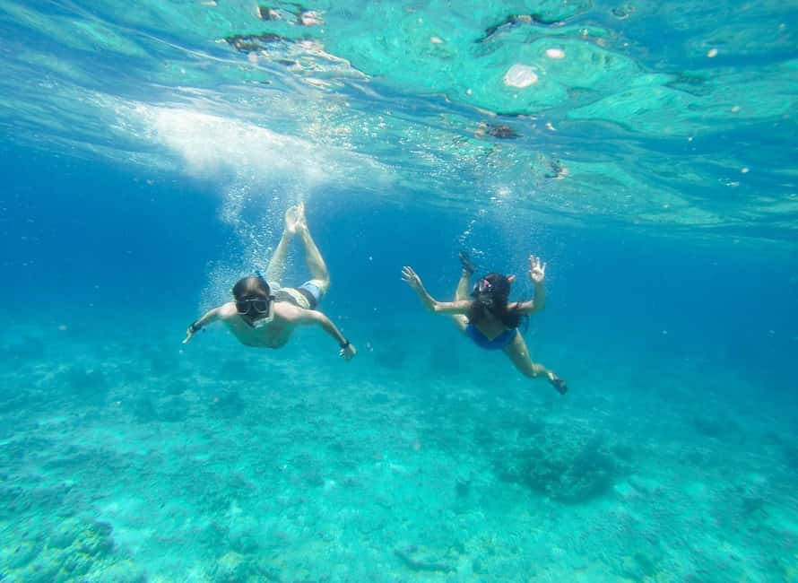 Heraklion Luxury Sailing Catamaran Dia Island | Gourmet Menu - Should you book the Heraklion Luxury Sailing Catamaran to Dia Island?