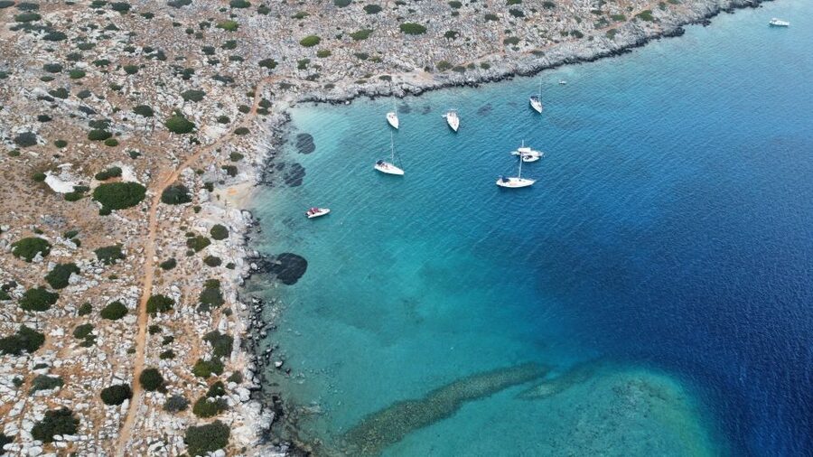 Heraklion: Nature Reserve Dia Island Full-Day Cruise & Lunch - Panagia Cove and the chances of wildlife spotting