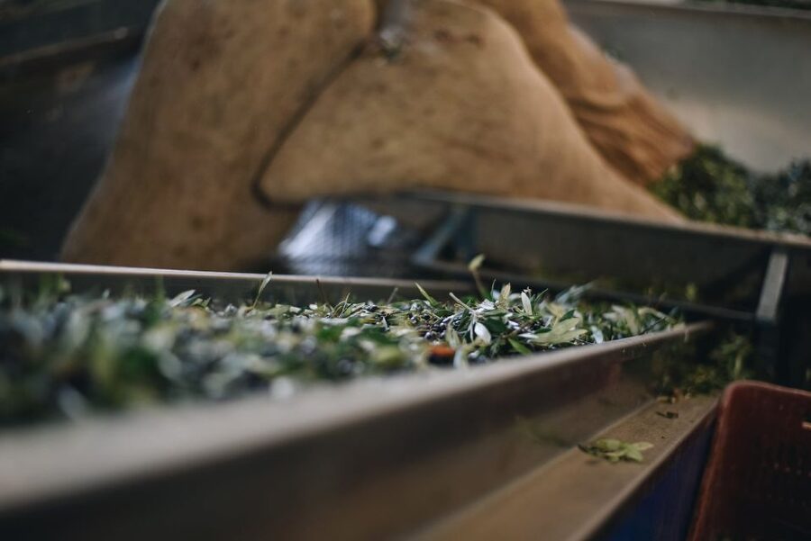 Heraklion: Olive Farm Tour with Tasting of Local Delicacies - Kleanthi in Skalani: why this tour starts with the olives