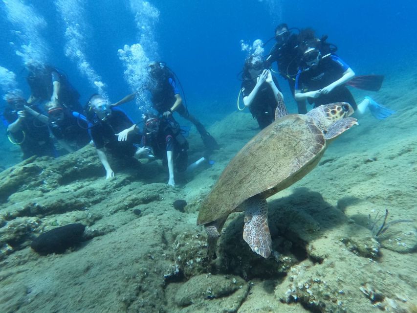 Heraklion: Scuba Diving Experience for Beginners _Beach - What You Do Underwater in Agia Pelagia Bay