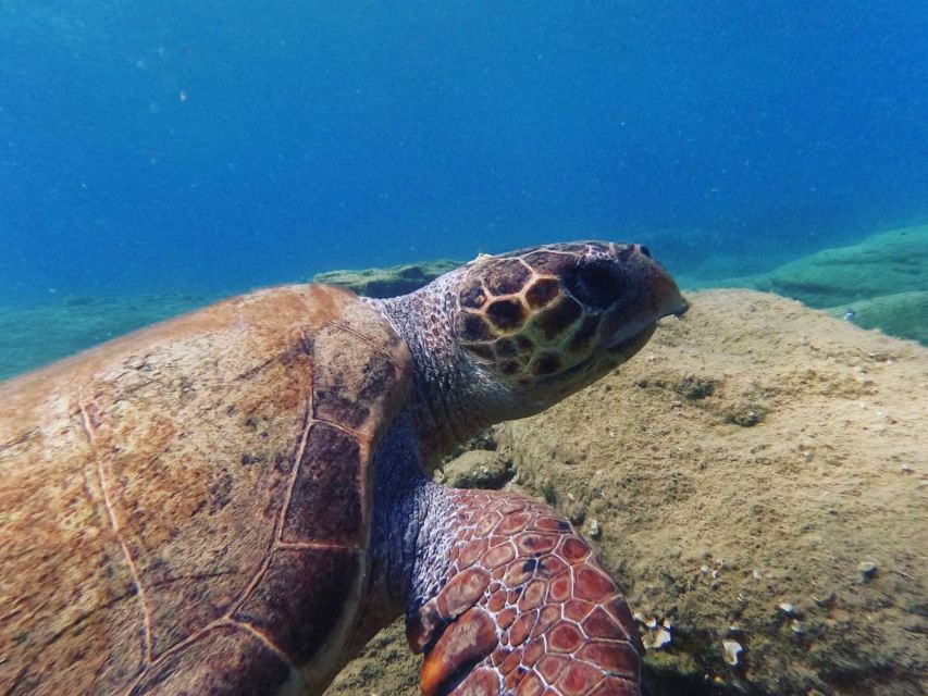Heraklion: Scuba Diving Experience for Beginners _Beach - Getting Your Underwater Photos, and the Hidden Budget