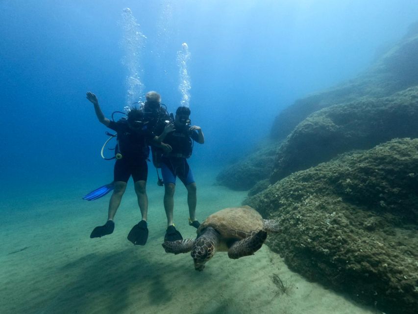 Heraklion: Scuba Diving Experience for First-Timers - Gear Day: Full Equipment Included, So You Can Focus on Skills