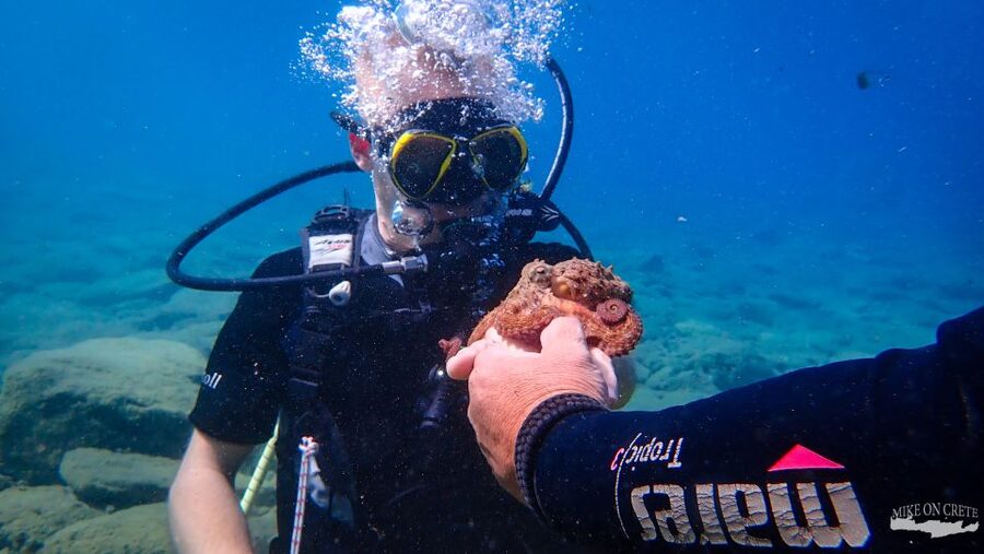 Heraklion: Scuba Diving Experience for First-Timers - Photos, Cameras, and the One Thing to Ask Before You Go