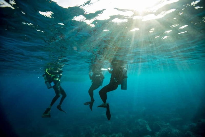 Heraklion: Try Scuba Diving - Who this fits best, and who should skip it