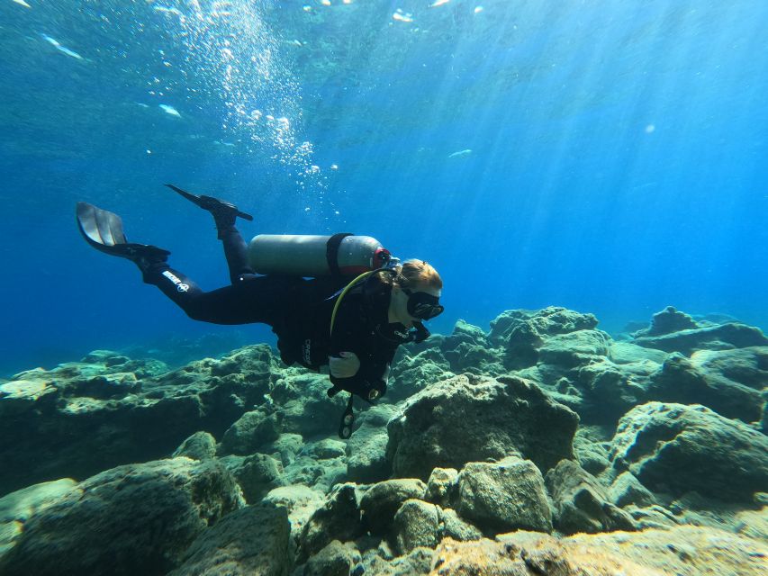 Heraklion: Try Scuba Diving For Beginners (1 dive) - Key highlights you should know before you go