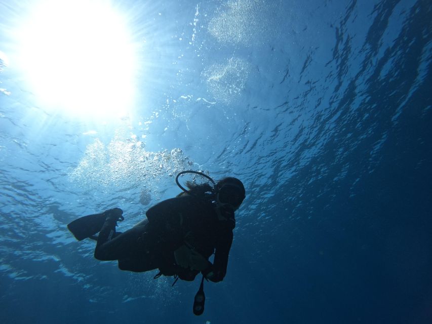 Heraklion: Try Scuba Diving For Beginners (1 dive) - Pickup, timing, and how the morning usually starts
