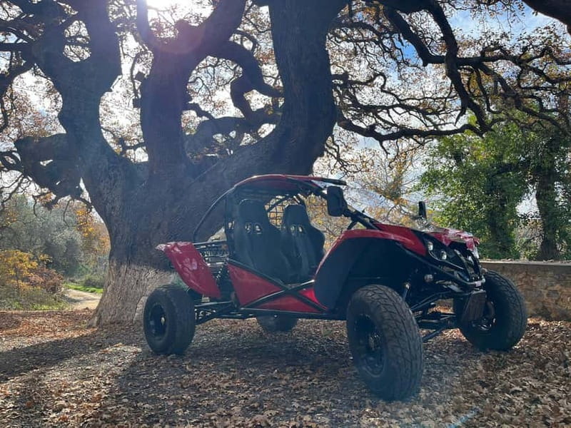 Hersonissos: Buggy Adventure Tour - The ride back through the canyon: last thrills before you park