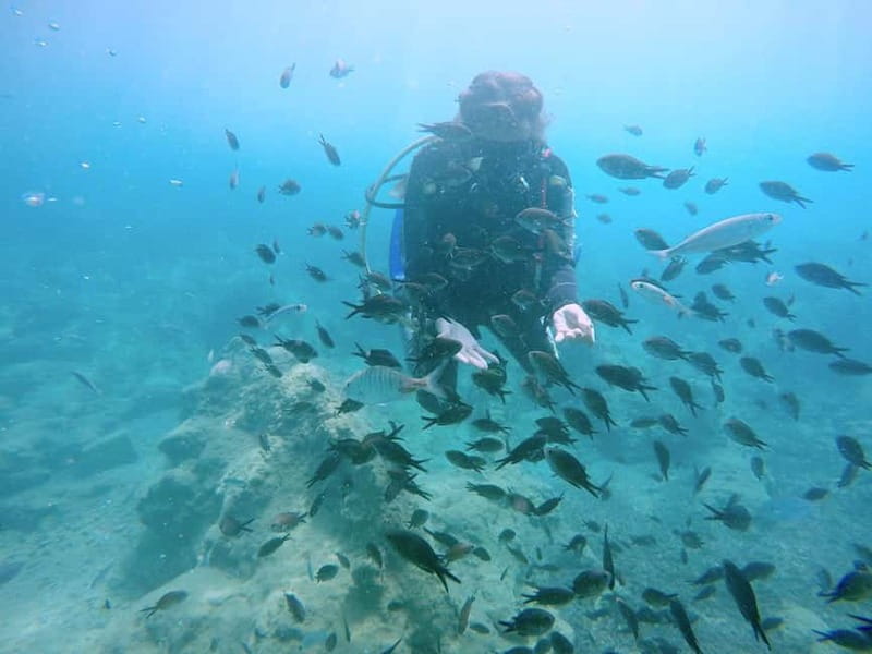 Hersonissos, Stalida: Scuba Diving Experience for beginners - Key highlights before you go