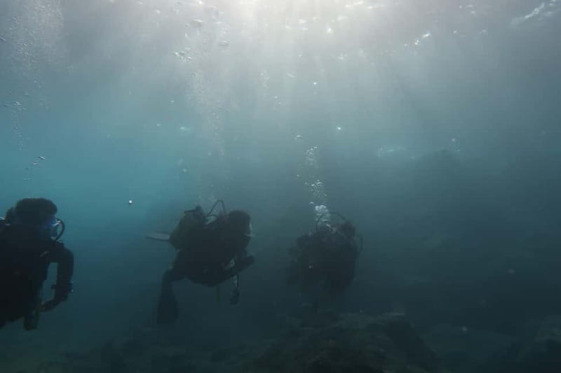 Hersonissos, Stalida: Scuba Diving Experience for beginners - Your first shore session: peaceful, supervised, and beginner-friendly