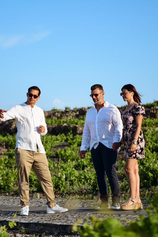 Imerovigli: Premium Wine Tasting with Caldera and Sea Views - Views and ambience, plus the option to stretch into sunset