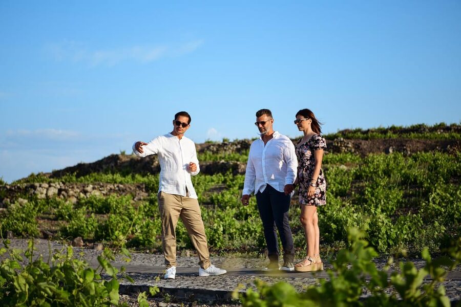 Imerovigli: Premium Wine Tasting with Caldera and Sea Views - Price and value: is $104 per person worth it?
