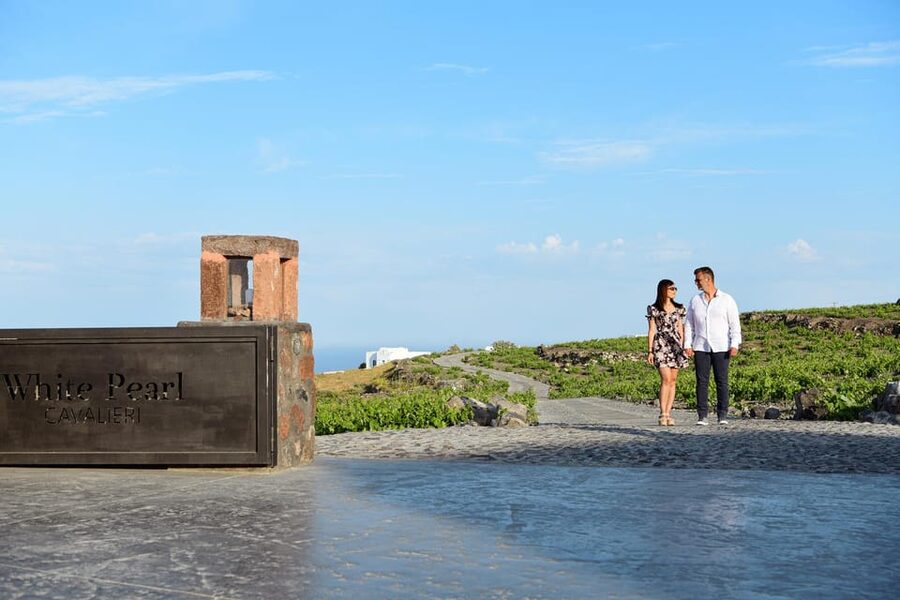 Imerovigli: Premium Wine Tasting with Caldera and Sea Views - Who this wine tasting fits best in your Santorini plan