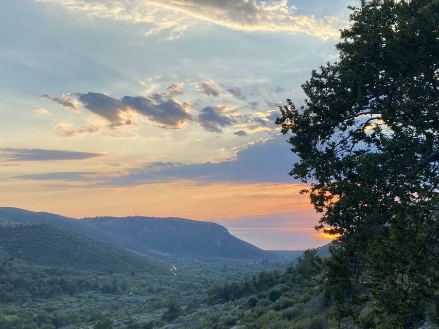 Jeep Safari in Thassos Mountain with picnic fruits & wine - Price and value: why $81 can make sense here