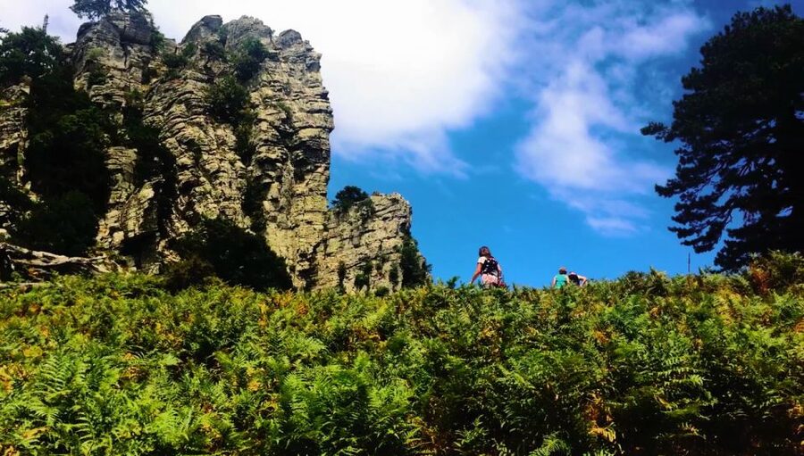 Jeep Safari in Thassos Mountain with picnic fruits & wine - Theologos and old Thassos capital walk, with real stone detail