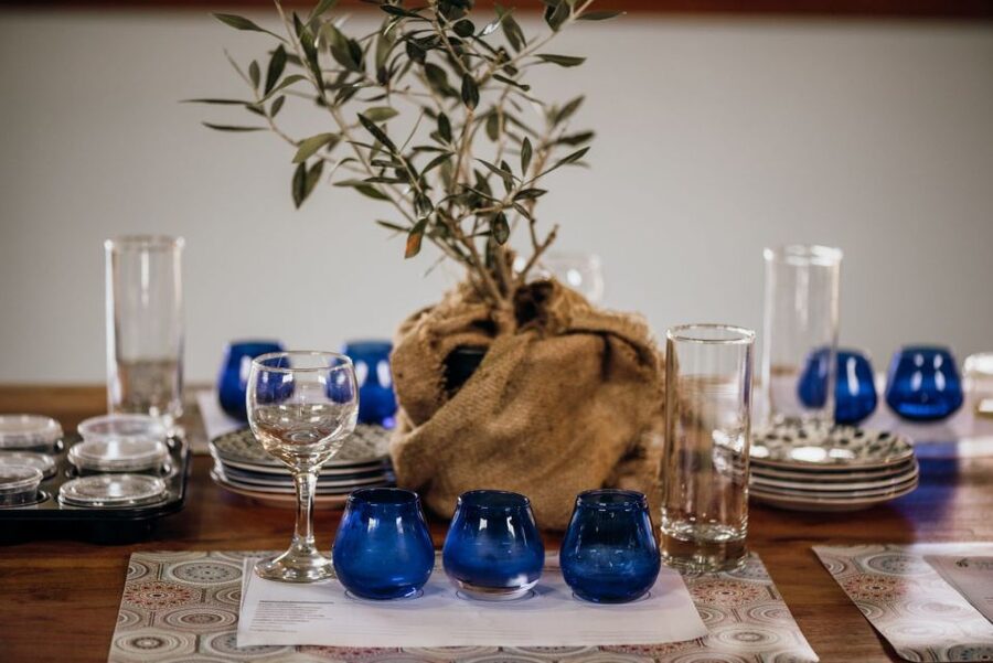 Kalamata: The Olive Oil Routes Tour - The grove walk: perennial trees, local varieties, and the stories that stick