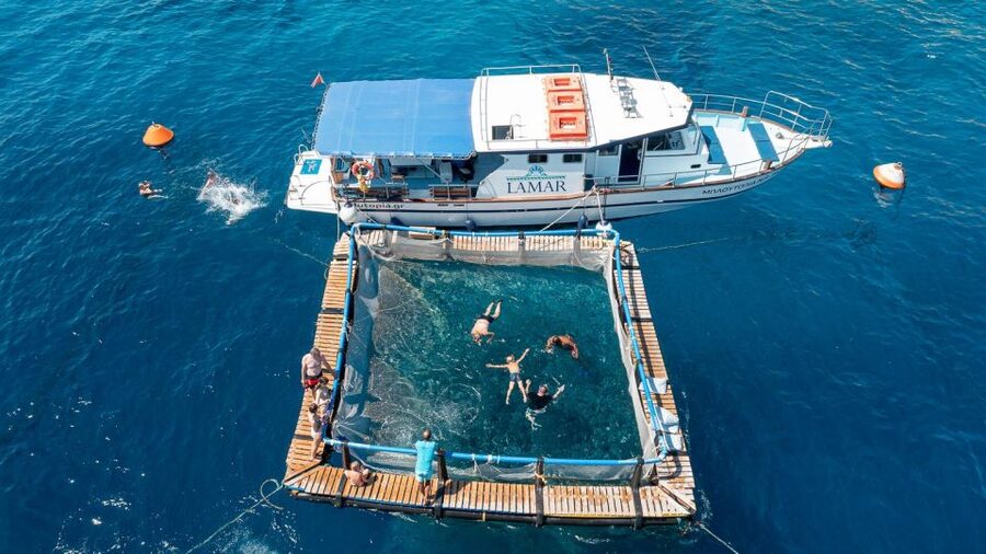 Kamiros Skala : Marine Life Experience & Alimia Island - Price and whether it is worth $176