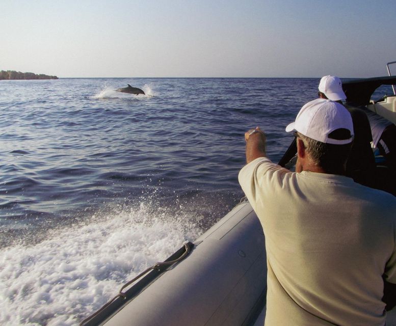 Kamiros Skala : Marine Life Experience & Alimia Island - Alimia Island: quiet, swim time, and those two churches