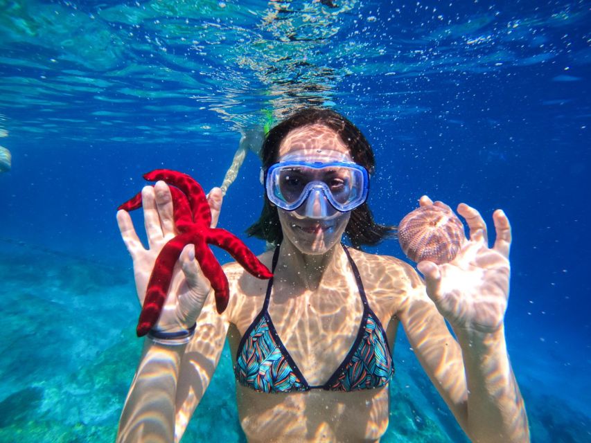 Kamiros Skala : Marine Life Experience & Alimia Island - Guides and small details that make the day feel personal