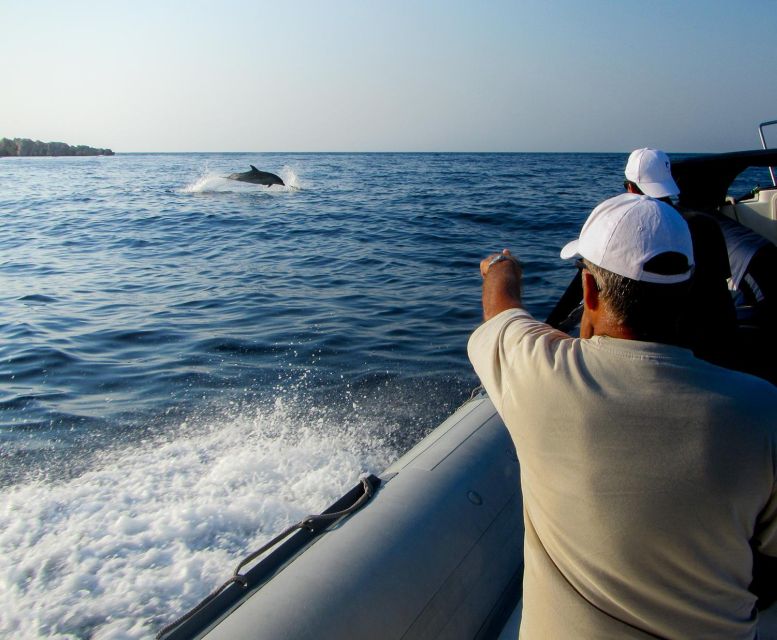 Kamiros Skala: Marine Life Experience by Boat - Key Things to Know Before You Go