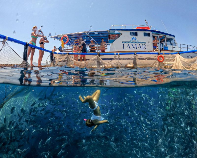 Kamiros Skala: Marine Life Experience by Boat - Aquaculture and Marine Life: Why the Marine Biologist Part Matters