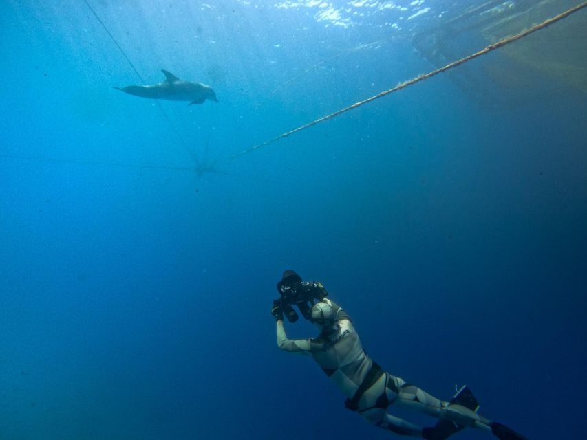 Kamiros Skala: Marine Life Experience by Boat - Snacks, Underwater Photos, and the Extras That Make It Worth It