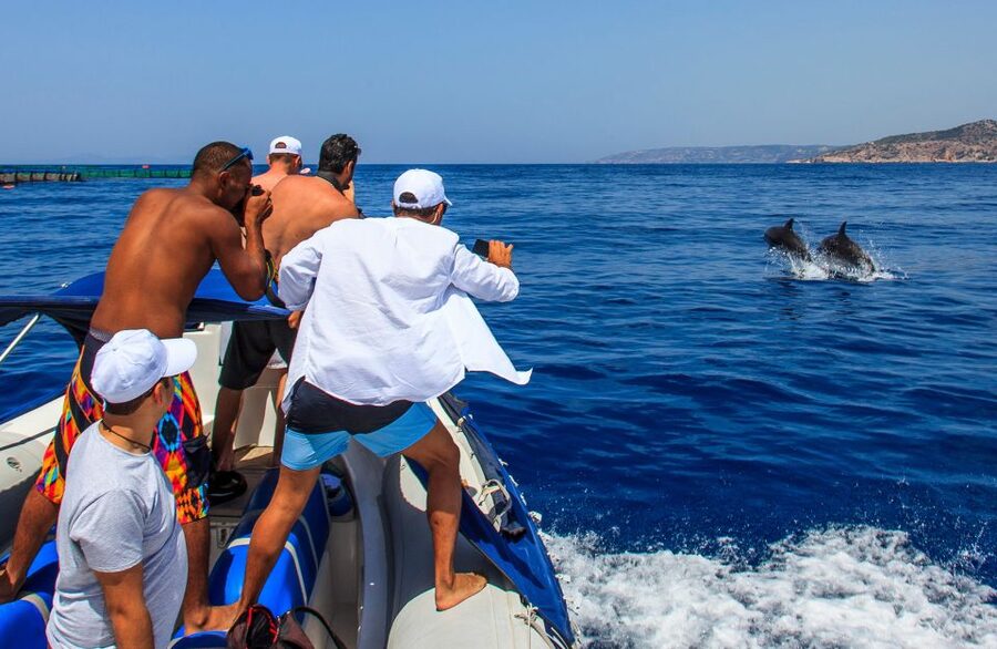 Kamiros Skala: Marine Life Experience by Boat - Who This Trip Suits Best, and Who Should Skip It