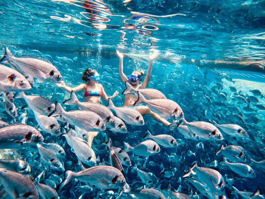 Kamiros Skala: Marine Life Experience by Boat - Meeting at Blutopia, and How the Transfer Works