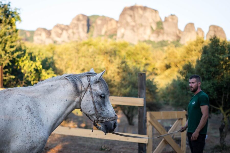 Kastraki: Meteora Morning Horse Riding with Monastery Visit - Who should book this Meteora horse ride, and who should skip