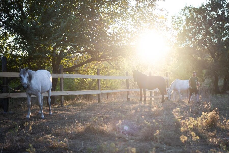 Kastraki: Meteora Sunset Horseback Riding - Why a sunset horse ride works so well at Meteora