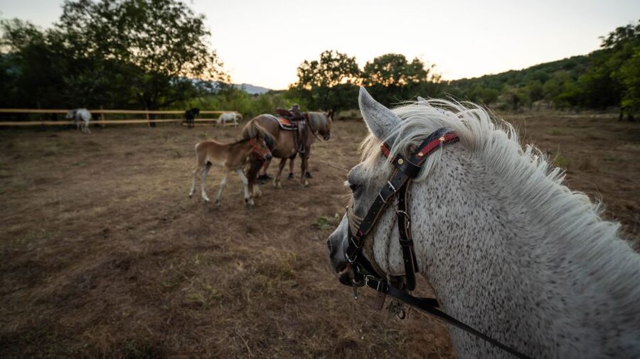 Kastraki: Meteora Sunset Horseback Riding - The ride itself: peaceful paths between the rocks