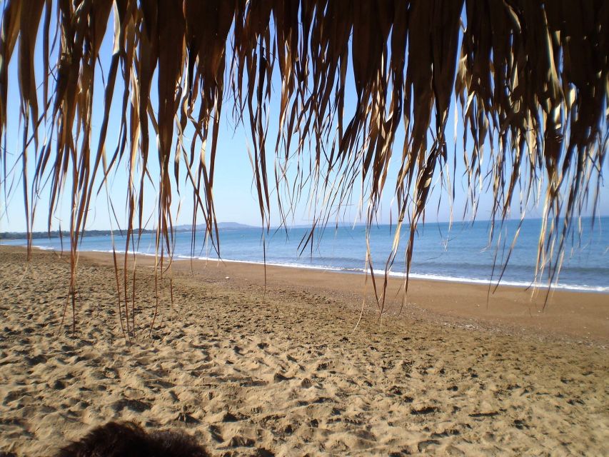 Katakolo: Ancient Olympia and Kourouta Beach Guided Tour - The 45-Minute Ride to Olympia: Why It Matters for Comfort