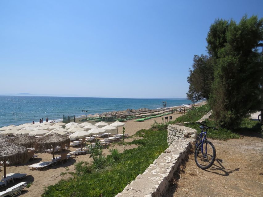 Katakolo: Ancient Olympia and Kourouta Beach Guided Tour - Guided Walk Through Ancient Olympia’s Most Recognizable Areas