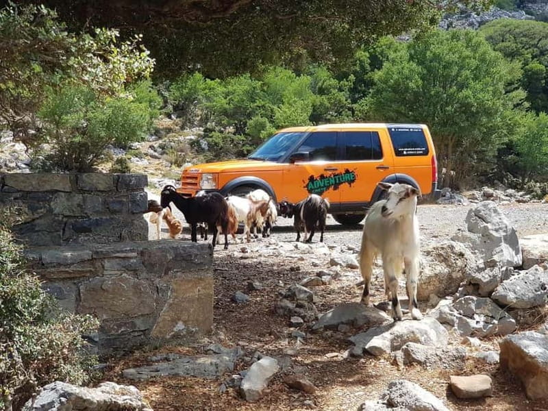 Knossos Palace and Pottery experience. Excursion Safari - Making Cretan Pottery in the Mountains