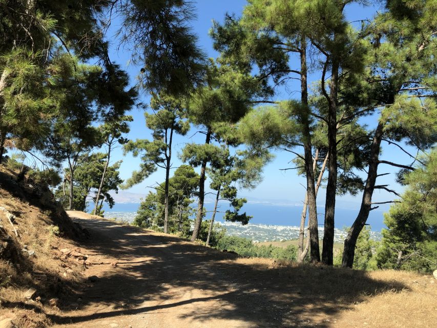Kos 4x4 Exploration: Panoramic Views, Villages & Flavors - Prophet Ilias Chapel, Mount Dikaios Views, and Turtle Lake Quiet Time