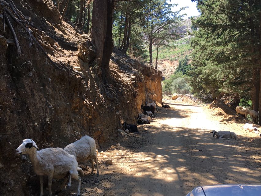 Kos 4x4 Exploration: Panoramic Views, Villages & Flavors - Osias Melou Church and a Traditional Village Break