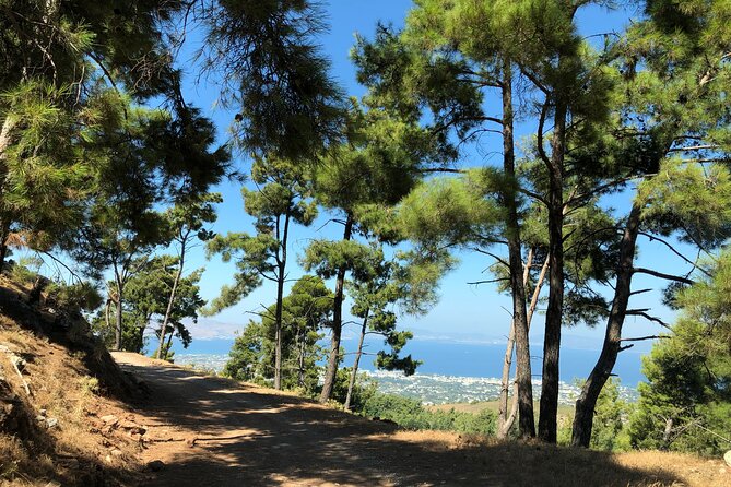 Kos 4x4 Exploration: Views, Villages & Flavors - Turtle Lake Off-Road: Quiet Nature Time (Stop 2)
