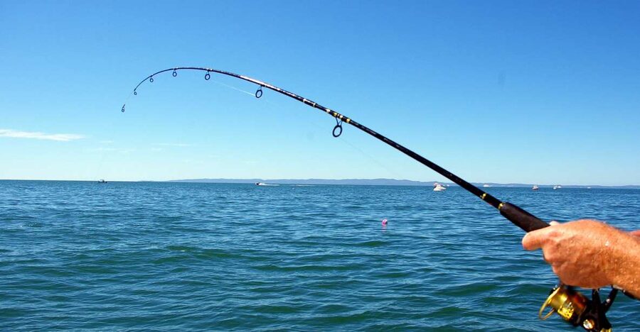 Kos: Fishing Trip Experience with a Greek Fisherman's Family - Meeting Captain George at Kos Port, and what Agios Giorgios feels like