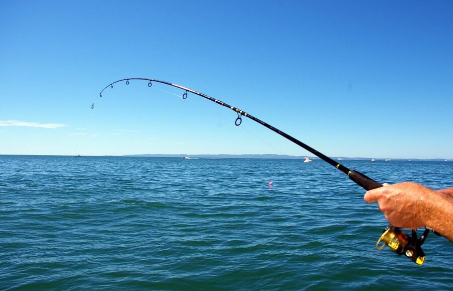 Kos: Fishing Trip Experience with a Greek Fisherman's Family - How the fishing lesson works, rods, hooks, lures, and shrimp bait