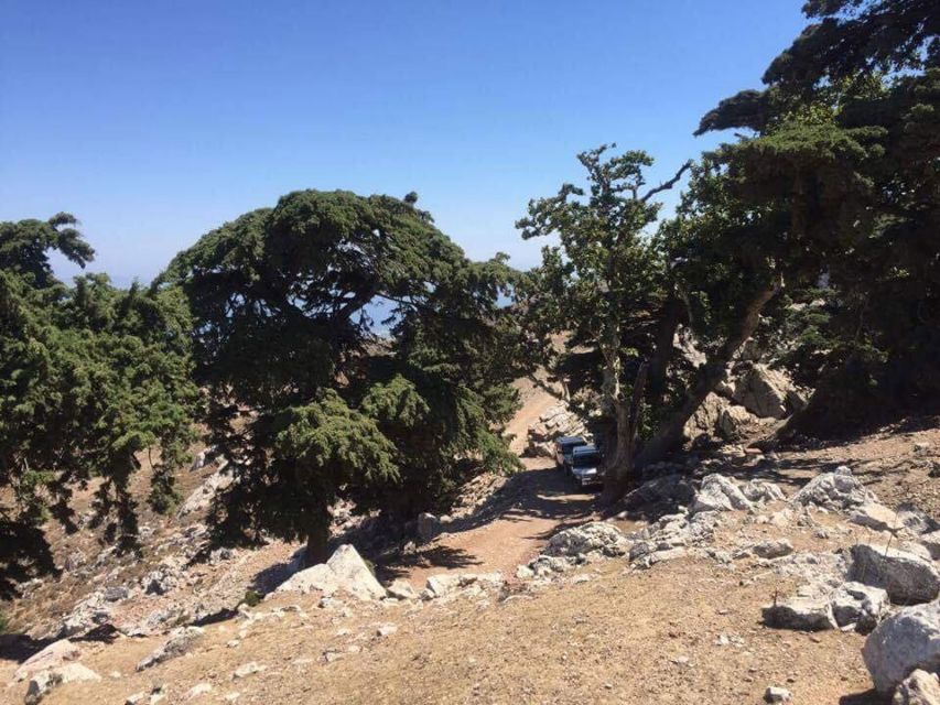 Kos: Full-Day Jeep Safari with Lunch - Where You Start on Kos, and How the 5.5 Hours Shape Up