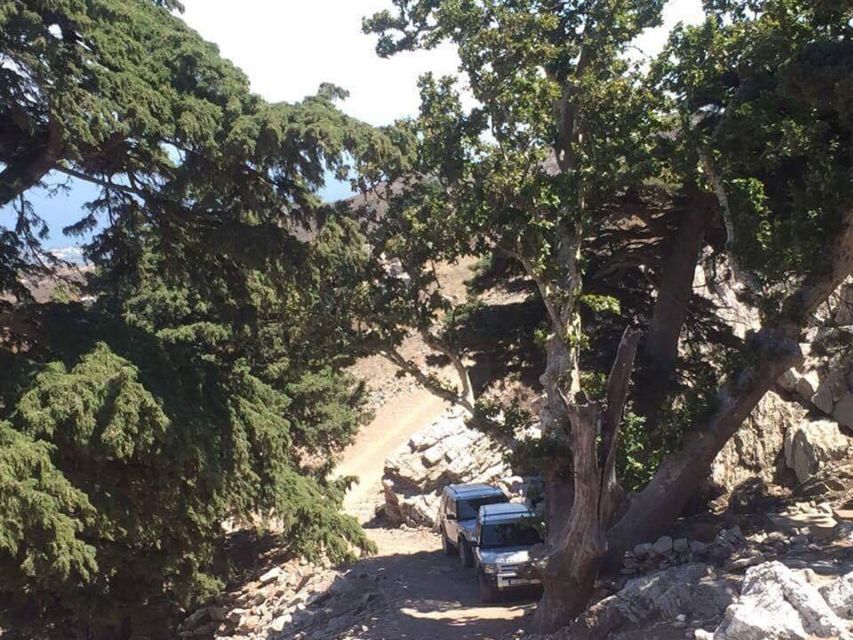 Kos: Full-Day Jeep Safari with Lunch - Price and Value: Does $135 Make Sense for This Route?