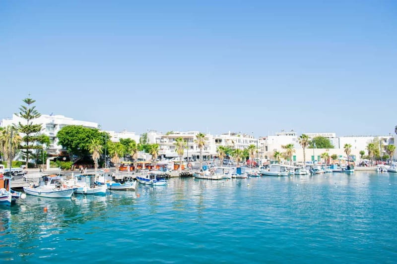 Kos, Greece: Fishing Trip Experience with Captain Tasos - Gear, instructions, and beginner-friendly fishing coaching